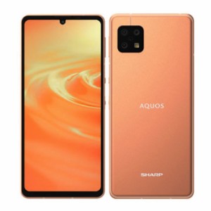 AQUOS sense6 5G ファイブジー SH-M19 デュアルSIM（nanoSIM／eSIM DSDV対応） 6.1型IGZO OLED 特典付 SIMフリー sen6og-a30y9