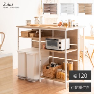 キッチンカウンター サルース salus ハイテーブル カウンターテーブル KNT-1260 幅120cm 高さ100cm 収納 棚 両面化粧 スタンディングデス