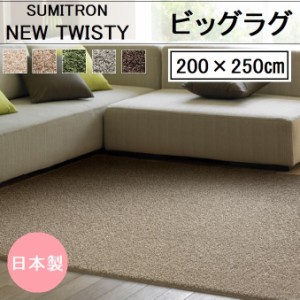 スミノエ スミトロン ニューツイスティ 200×250cm 長方形 シャギー 防炎 防ダニ アレルブロック ホットカーペット対応 床暖房対応 北欧 