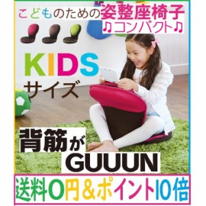 美姿勢 座椅子 送料無料 人気 背筋がGUUUN コンパクト プロイデア PROIDEA  姿勢 椅子 座椅子 矯正 姿勢矯正 ランキング