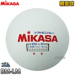 【ミカサ・MIKASA バレーボール】 ソフトミニバレーボール（大） BM-LM