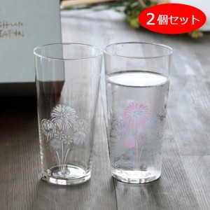 冷感グラス 花火 花火グラス タンブラーグラス 2個セット 360ml×2 丸モ高木陶器 日本製