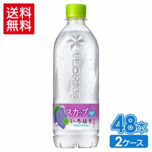 【6/11 9:59迄超超祭】 い・ろ・は・す ハスカップ 540mlPET×24本×2箱 計48本【送料無料】 