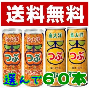 【送料無料】【つぶ入り飲料】金太洋　甘夏みかん缶・オレンジ缶２５０ｇ★選んで６０缶★（30ｘ2ケース）【長崎県】【島原市高島】【太