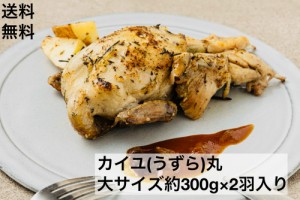 送料無料　カイユ丸　2羽入り　約300ｇ×2羽　オーストラリア産　ビックサイズ　うずら　ウズラ