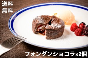 送料無料　フランス　トレトールドパリ社　フォンダン ショコラ (100g×2個) チョコ ケーキ　バレンタインデー　バレンタイン