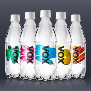 強炭酸水 VOX 500ml×24本 送料無料 軟水 国産 天然水 選べる5種類 ストレート シリカ 55mg/L ミント レモン コーラ 365日出荷