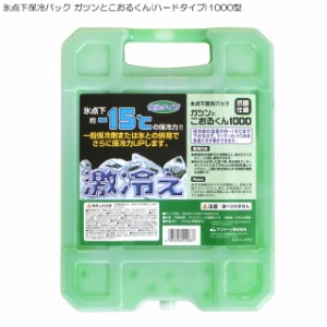 氷点下保冷パック ガツンとこおるくん(ハードタイプ)1000型( おしゃれ 保冷剤 長時間 釣り 便利グッズ アウトドア 保冷 キャンプ スポー