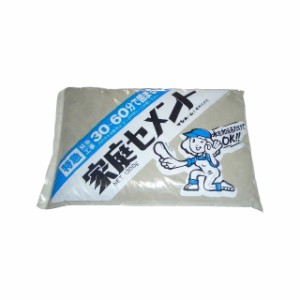 家庭セメント4kg　特急　灰色　CTG4（セメント 土 粘土,セメント 砂利,セメント 流し込み,セメント 補修）