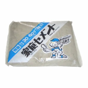 家庭セメント10kg　特急　灰色　CTG10　10kg（セメント 土 粘土,セメント 砂利,セメント 流し込み,セメント 補修）