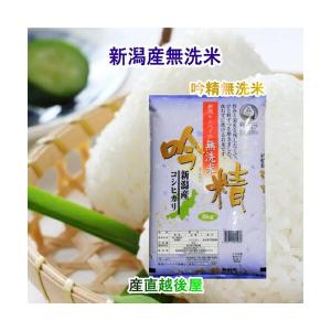 予約販売】令和7年産 新米 滋賀県産 コシヒカリ 【白米】10kg