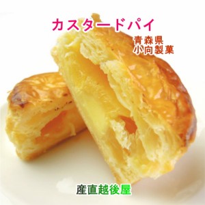 青森県創作洋菓子店 小向製菓 りんごカスタードパイ10個 化粧箱入り 送料無料【お中元 父の日 ギフト グルメ 贈り物】