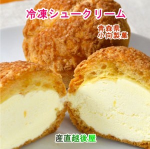 青森県創作洋菓子店 小向製菓 冷凍シュー バニラ味 10個 送料無料【お中元 父の日 ギフト グルメ 贈り物】