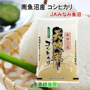 令和５年産  コシヒカリ 30kg 特Ａ地区 魚沼産 新潟県 南魚沼 JAみなみ魚沼農協 天地米 産地限定 こしひかり 送料無料