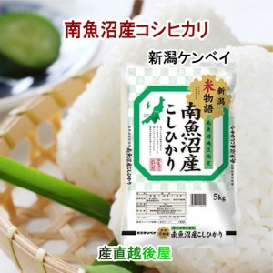 令和５年産 魚沼産 コシヒカリ 新潟県南魚沼産 特Ａ地区 コシヒカリ30kg ＪＡ農協米 新潟ケンベイ産 送料無料