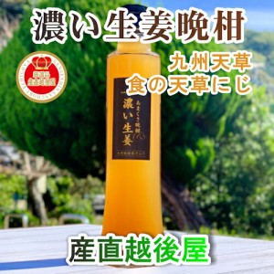 【果実飲料 生姜シロップ 体調管理】 熊本県 天草市 食の天草にじ あまくさ晩柑＆濃い生姜 5倍希釈 2本 天草産の天草晩柑 根生姜 純正蜂