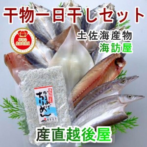 父の日【魚 海産物 干物 詰合せ 送料無料】 高知県高知市場 土佐海産物 海訪屋 厳選１日干セット 冷凍便でお届け