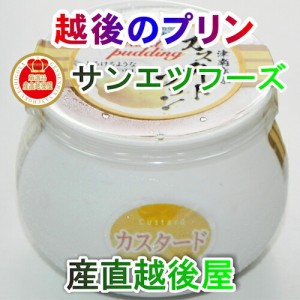 【乳製品 プリン 越後プリン】 新潟県長岡サンエツフーズ 新潟産食材に限定 越後限定プリン 選べる6種類のプリンの味 110ml 合計10個 送