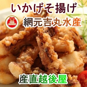 【魚介類 水産加工品 いかげそ竜田揚げ】 鳥取県 境港市 網元吉丸水産 いかげそ竜田揚げ 200g 5パック 冷凍保存