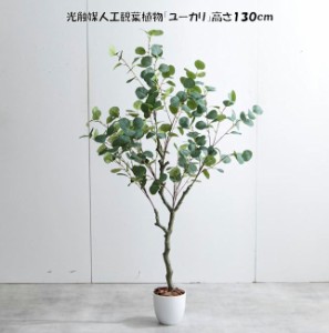 送料無料光触媒人工観葉植物ユーカリ 高さ130cm インテリアグリーン 造花 人工植物 フェイクグリーン（1272）