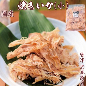 【常温便送料無料】国産 国内加工 厳選 珍味 焼きイカ 小袋 国産 花見 お花見 おつまみ プレゼント 敬老の日 ギフト お祝 プレゼント 珍