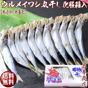 【敬老の日 ギフト】【無添加・無着色】 ウルメイワシ丸干し(メザシ) ギフト用化粧箱入 お酒の肴に 朝食に 噛めば噛む程旨味溢れる 厳選