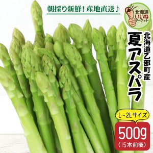 【予約】アスパラガス グリーンアスパラ 北海道産 夏アスパラ L・2L混 500g 平均15本 朝採れ グリーンアスパラガス 太い アスパラ 甘い 