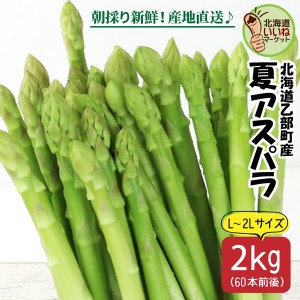 【予約】アスパラガス グリーンアスパラ 北海道産 夏アスパラ L・2L混 2kg 平均60本 朝採れ グリーンアスパラガス 太い アスパラ 甘い 産