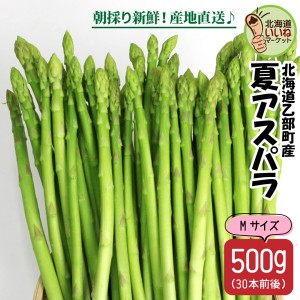 【予約】アスパラガス グリーンアスパラ 北海道産 夏アスパラ Mサイズ 500g 平均30本 朝採れ グリーンアスパラガス 太い アスパラ 甘い 