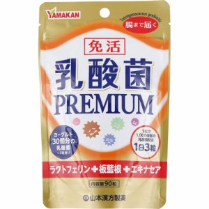 乳酸菌 ＰＲＥＭＩＵＭ　22.5g（250mg×90粒）　2個　健康食品　　　　　