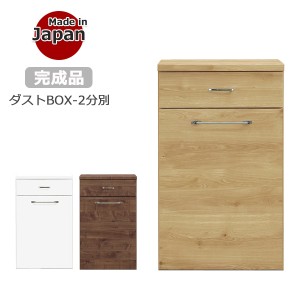 ゴミ箱 ダストボックス 2分別 ダストBOX 30L ペール付き キャスター付 家具調ダストボックス 分別ダストボックス おしゃれ 収納 モイス付