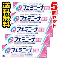 ●5個セット ・メール便・送料無料● フェミニーナ軟膏Ｓ 15g小林製薬 【第2類医薬品】　代引き不可　送料無料（セルフメディケーション