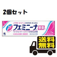 ●2個セット・メール便・送料無料● フェミニーナ軟膏Ｓ 15g 小林製薬 【第2類医薬品】　代引き不可　送料無料（セルフメディケーション