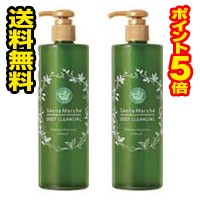 ■2個セット・送料無料・ポイント5倍■数量限定！サンタマルシェ 薬用ディープクレンジング(400g)