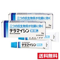 ●2個セット・メール便・送料無料●【第2類医薬品】テラマイシン軟膏a(6g)代引き不可　