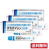 ●3個セット・メール便・送料無料●【第2類医薬品】テラマイシン軟膏a(6g)代引き不可　