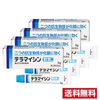 ●4個セット・メール便・送料無料●【第2類医薬品】テラマイシン軟膏a(6g)代引き不可　