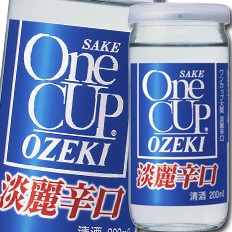 送料無料 大関 ワンカップ 淡麗辛口 200ml 瓶×2ケース（全60本）