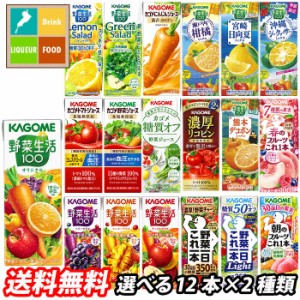 送料無料 スマプレ カゴメ 野菜ジュース 野菜生活100 紙パック 選べる 24本（12本×2）選り取り よりどり