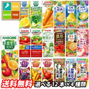 送料無料 スマプレ カゴメ 野菜ジュース 野菜生活100 紙パック 選べる 48本（12本×4）選り取り よりどり