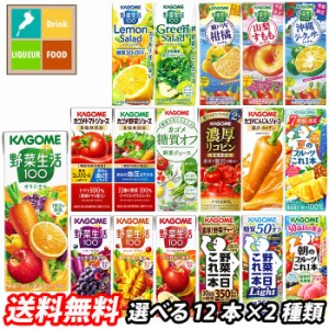 送料無料 スマプレ カゴメ 野菜ジュース 野菜生活100 紙パック 選べる 24本（12本×2）選り取り よりどり