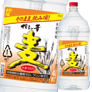 送料無料 福徳長 12度博多の華 麦4Lペット×2ケース（全8本）