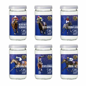 送料無料 競馬 G1 大関 上撰ワンカップ G-OneCup 感動編 180ml瓶×2ケース（全60本）