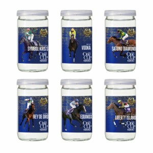 送料無料 競馬 G1 大関 上撰ワンカップ G-OneCup 豪脚編 180ml瓶×2ケース（全60本）