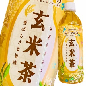 送料無料 滋賀県産 近江米みずかがみの玄米茶500ml×2ケース（全48本） 