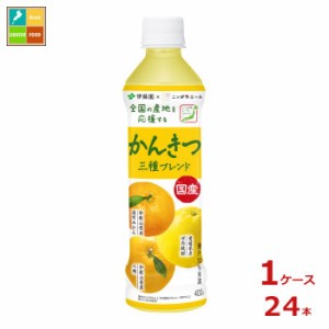 送料無料 伊藤園 ニッポンエール 国産かんきつ三種ブレンド400g×1ケース（全24本）