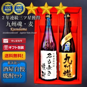 酒屋自慢焼酎セット　九州魂 麦・吟醸酒粕焼酎 名も無き焼酎720ml　2本