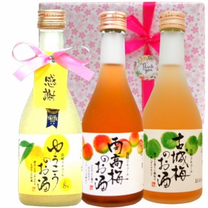 母の日 長崎 果実酒 ミニボトル 感謝タグ付 箱入包装 3本セット/ゆうこう 南高梅 古城梅300ml　バレンタイン 父の日 退職 還暦  誕生日