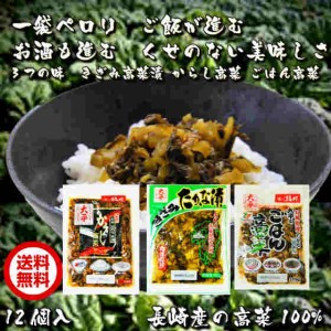 長崎産　高菜のお漬物セット3種食べ比べ/きざみ高菜・からし高菜・ごはん高菜各1個 メール便代引き・日時指定は不可　おためし