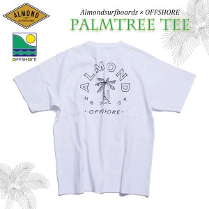 23 SS Almond アーモンド OFFSORE オフショア コラボTシャツ PALMTREE TEE Ｔシャツ ティーシャツ 半袖 トップス ヤシの木 パームツリー 